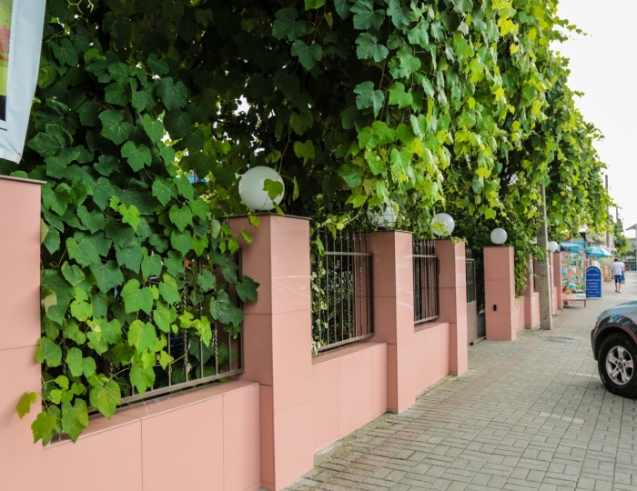 Отель «Абхаз-Лео» Гагра