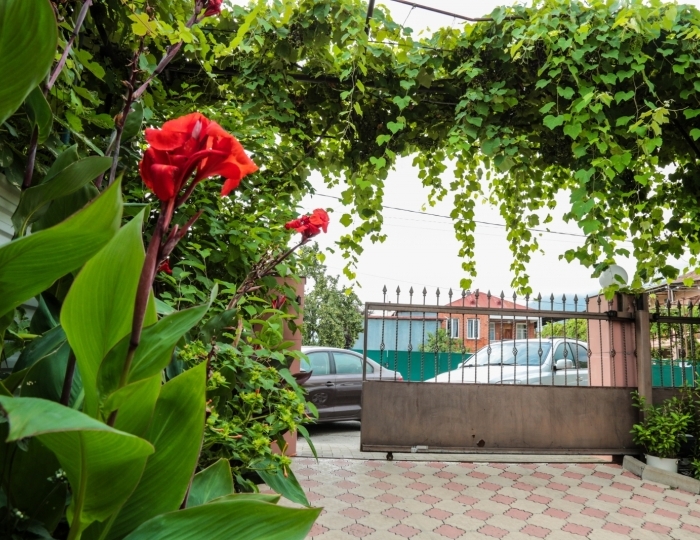 Отель «Абхаз-Лео» Гагра